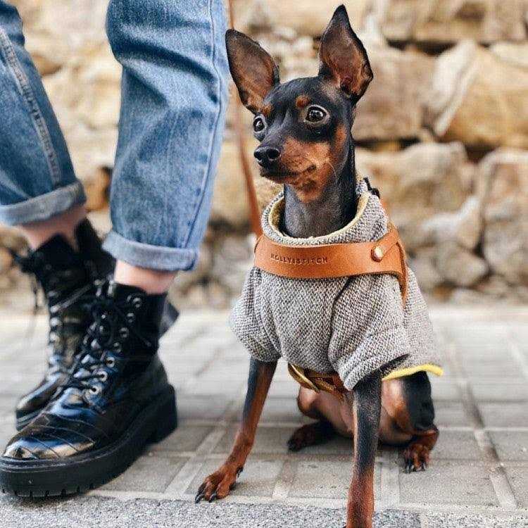 Leather Dog Harness Y637