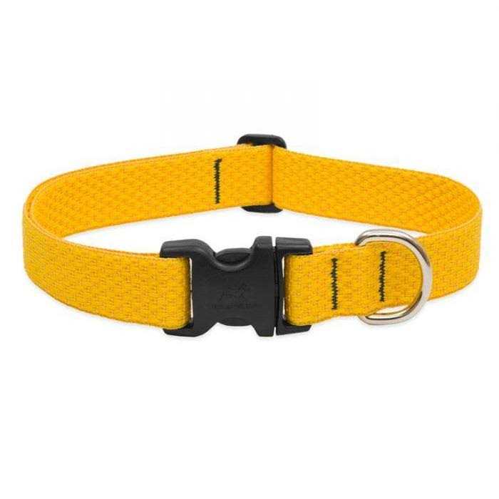 Dog Collar G295