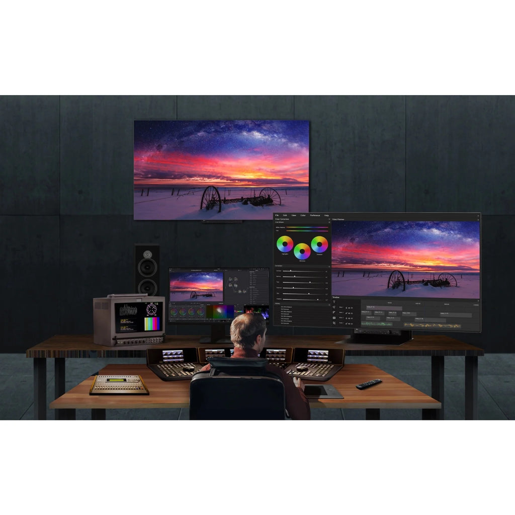 OLED Pro Display Z919